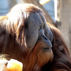 Malu on his 19th birthday