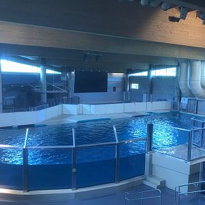 Discovery Bay - Upper Portion of Hawaiian Monk Seal Tank