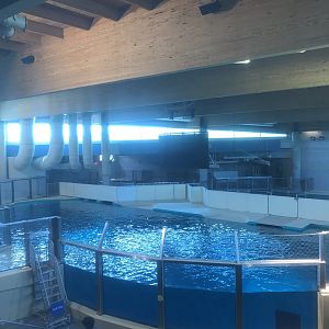 Discovery Bay - Upper Portion of Hawaiian Monk Seal Tank