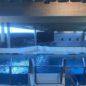 Discovery Bay - Upper Portion of Hawaiian Monk Seal Tank