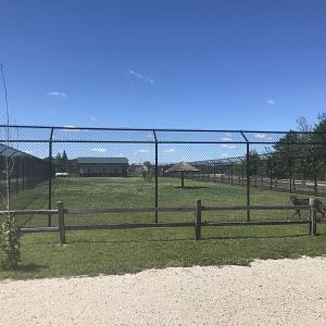 “South America” - Cheetah Exhibit