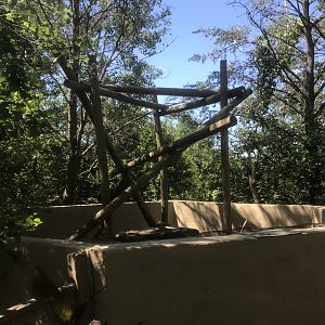 Safari North - North American Porcupine