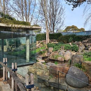 Panda Exhibit (usually Funi's yard)