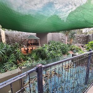 Old Polar bear exhibit now Ring-tailed lemur exhibit