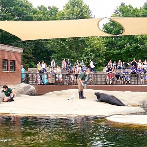 Jul. 2022 - Kovler Seal Pool