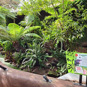 Tasmanian Devil exhibit