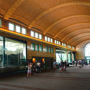 Jul. 2022 - Kovler Lion House - Tawani Great Hall