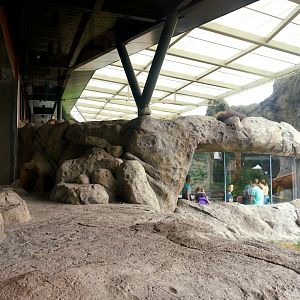Jul. 2022 - Kovler Lion House - Lion Exhibit (Right Side)