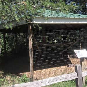 “North America” - Grey Fox Exhibit