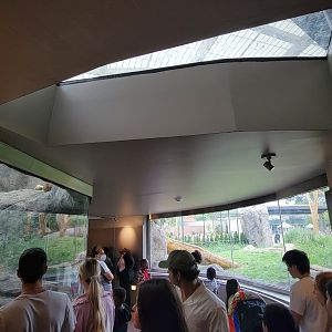 Jul. 2022 - Kovler Lion House - Lion Loop