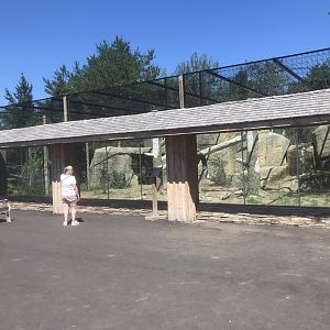 “North America” - Snow Leopard Exhibit