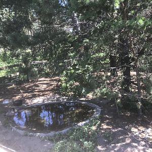 North America - Nene Exhibit