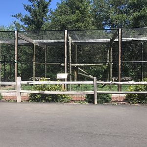 “North America” - Serval Exhibit
