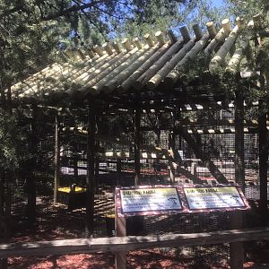 “North America” - New Common Squirrel Monkey Exhibit