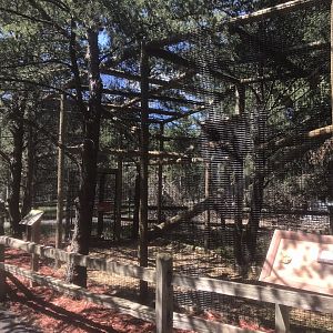 “North America” - New White-Faced Saki Exhibit