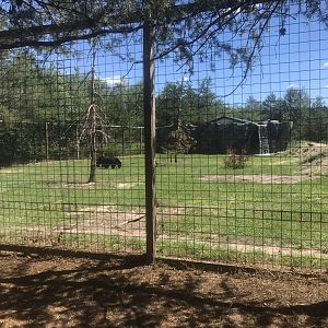 “North America” - New Black Bear Falls