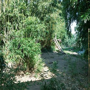 Part of Sumatran tiger enclosure