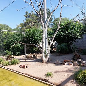 European mediterranean aviary