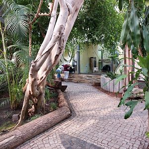 Great ape house interior