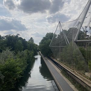 Snowdon and the canal