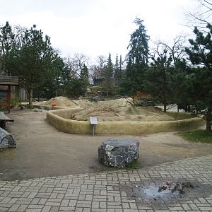 Black-tailed prairie dog, 2008-03-01