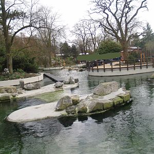 Pinniped exhibit - Housing California sea lions at the time, 2008-03-01