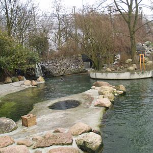Pinniped exhibit - Housing California sea lions at the time, 2008-03-01