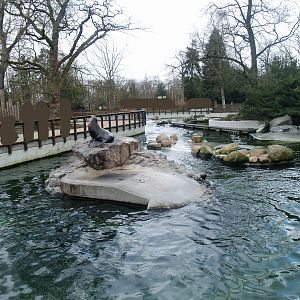 Pinniped exhibit - Housing California sea lions at the time, 2008-03-01