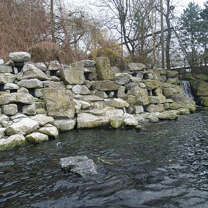 Pinniped separation exhibit, 2008-03-01