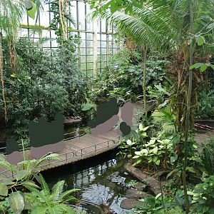 View in the Americasa, 2008-03-01