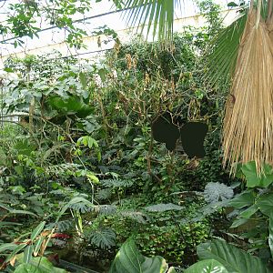 View in the Americasa, 2008-03-01