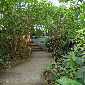 Walkway in the Americasa, 2008-03-01