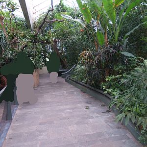 Americasa - Walkway next to the armadillo exhibit, 2008-03-01