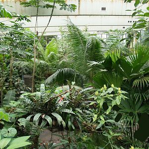 View in the Americasa, 2008-03-01