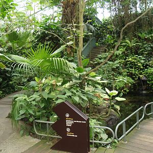 View in the Americasa, 2008-03-01