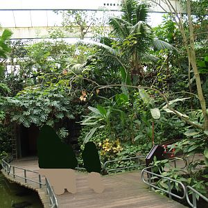 View in the Americasa, 2008-03-01