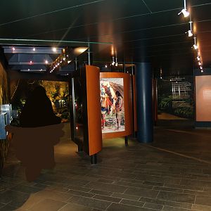 Exhibition area in the Americasa, 2008-03-01