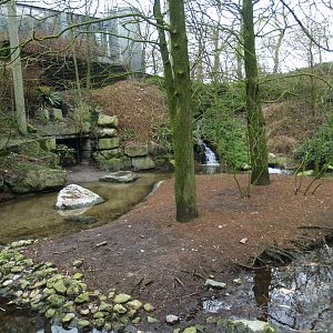 American bird garden, 2008-03-01