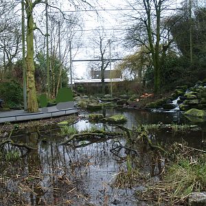 American bird garden, 2008-03-01