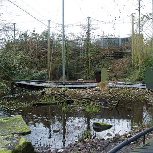 American bird garden, 2008-03-01
