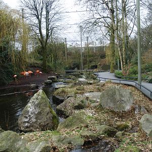American bird garden, 2008-03-01