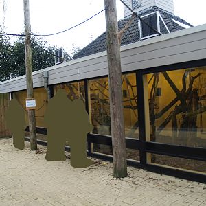 Bolivian squirrel monkey house, 2008-03-01