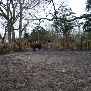 Part of the Wild West exhibit, 2008-03-01