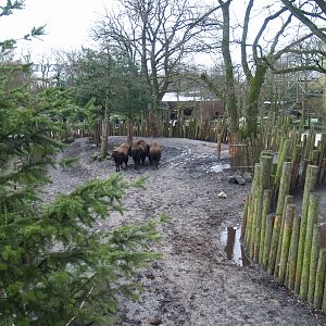 Part of the Wild West exhibit, 2008-03-01