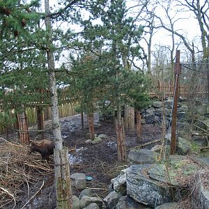 Part of the Wild West exhibit, including part of the Great grey owl aviary, 2008-03-01