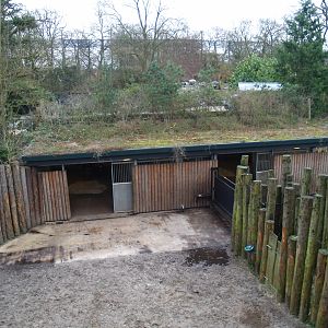 Wild West exhibit bar and side yards, 2008-03-01