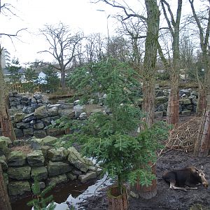 Part of the Wild West exhibit, 2008-03-01