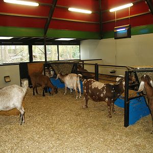 Petting zoo building - Indoor goat paddock, 2008-03-01