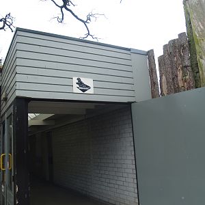 Access to the hippopotamus stable, 2008-03-01