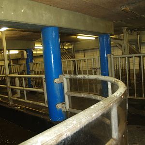 Hippopotamus stable - Land paddocks, 2008-03-01